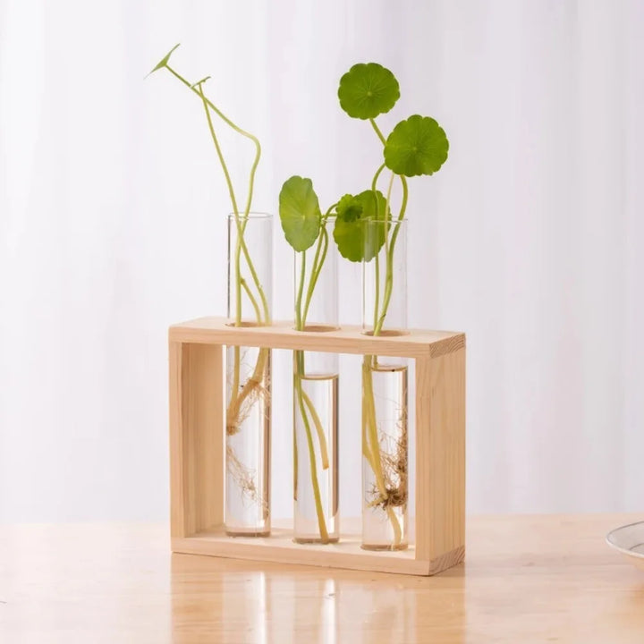 Germoglio Light Frame 3 tubes