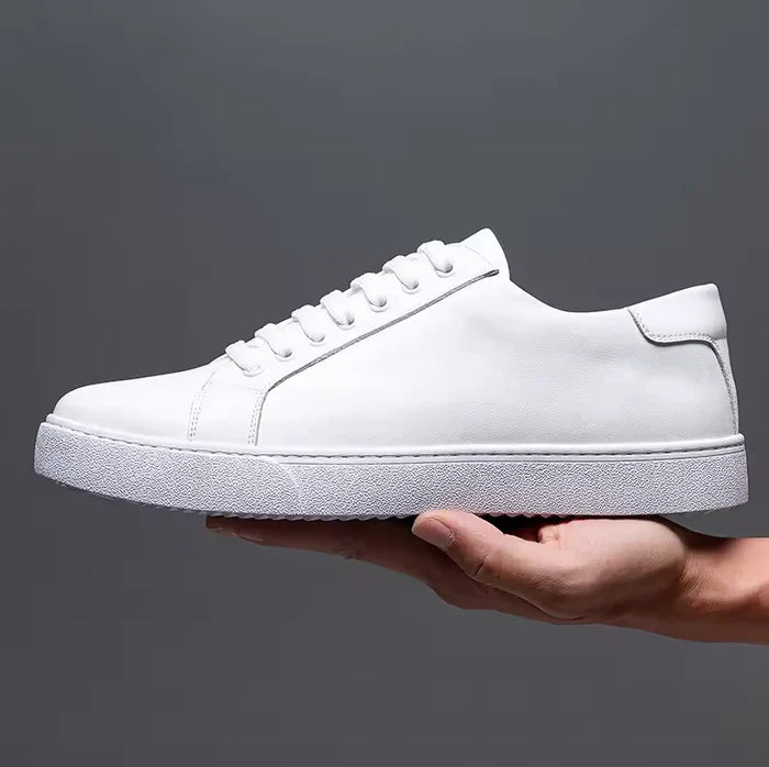 White / US 16