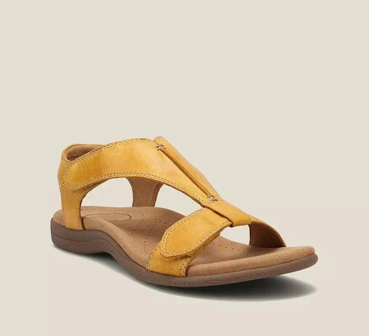 Yellow / US 12