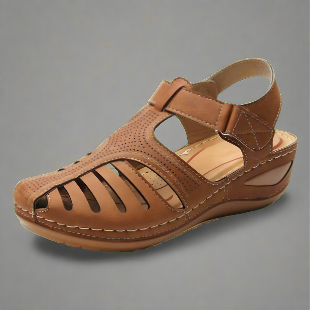 Brown / US 12
