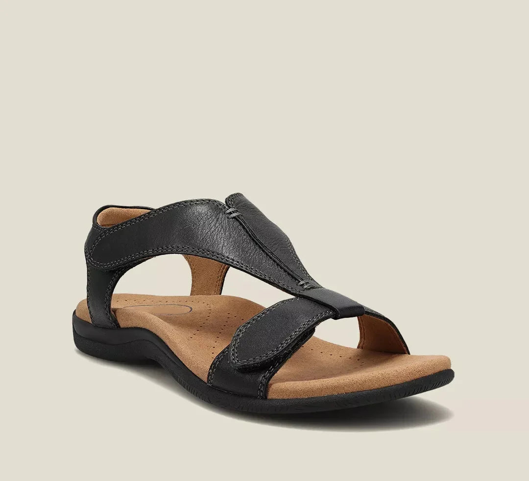 Black / US 12