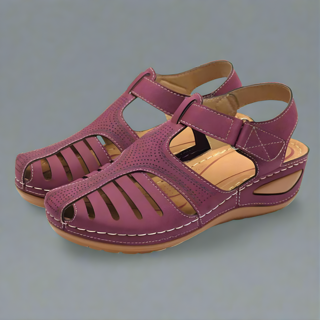 Burgundy / US 12