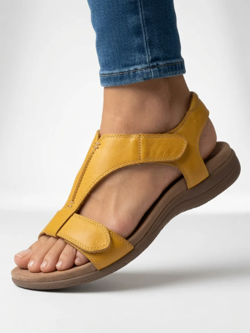 Yellow / US 12