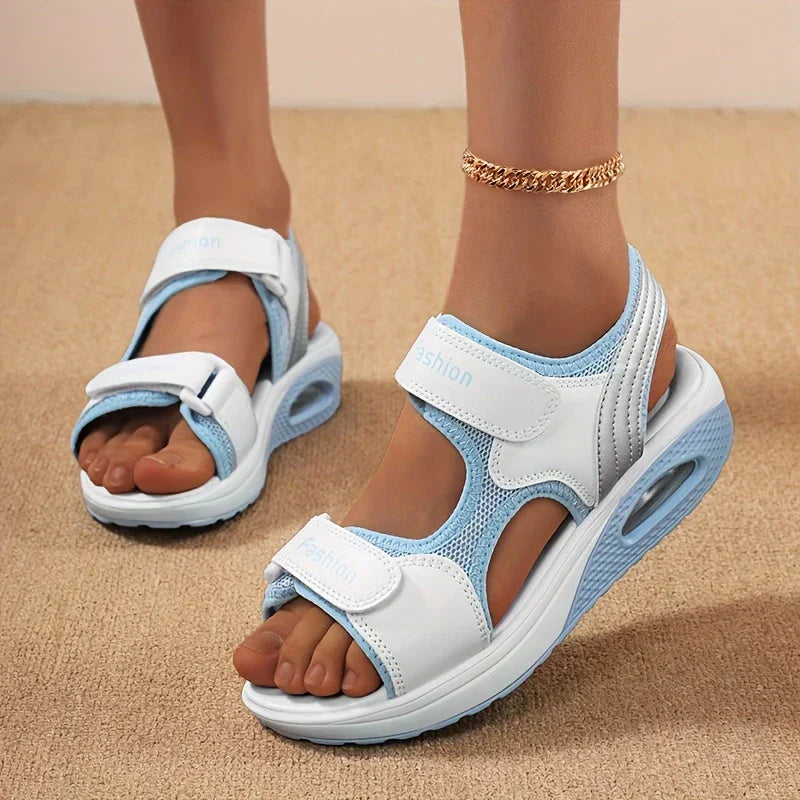 White/Blue / US 10