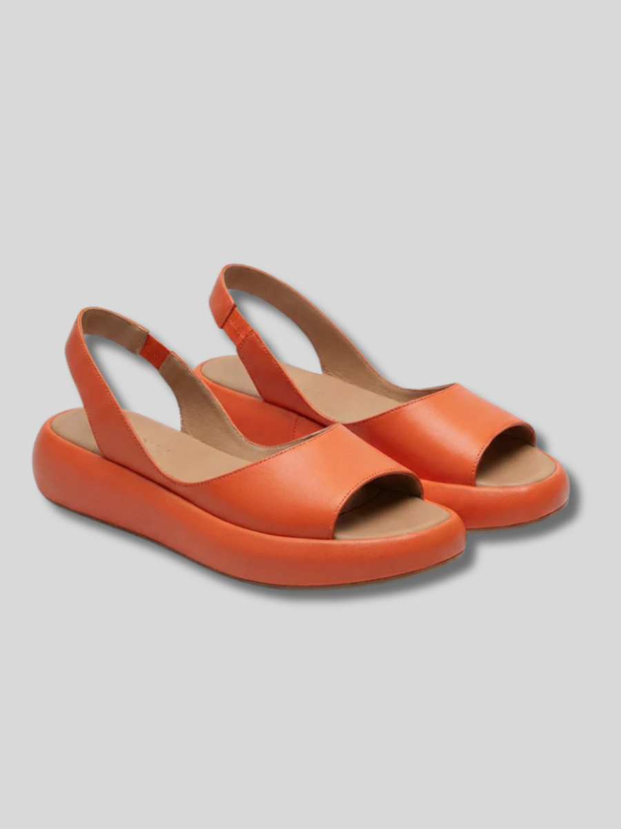 Orange / US 12