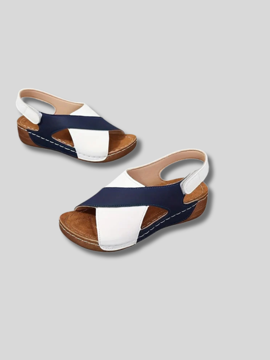 Navy Blue / US 12