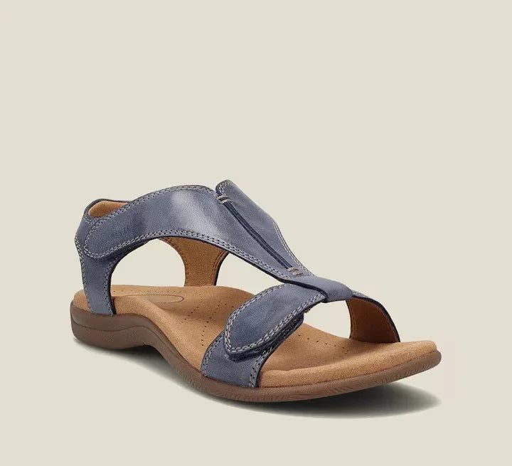 Navy Blue / US 12