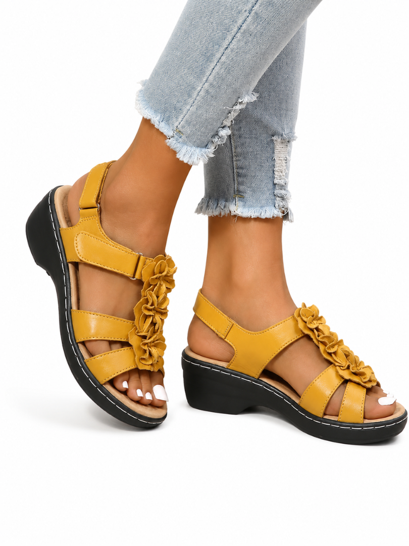 Yellow / US 12