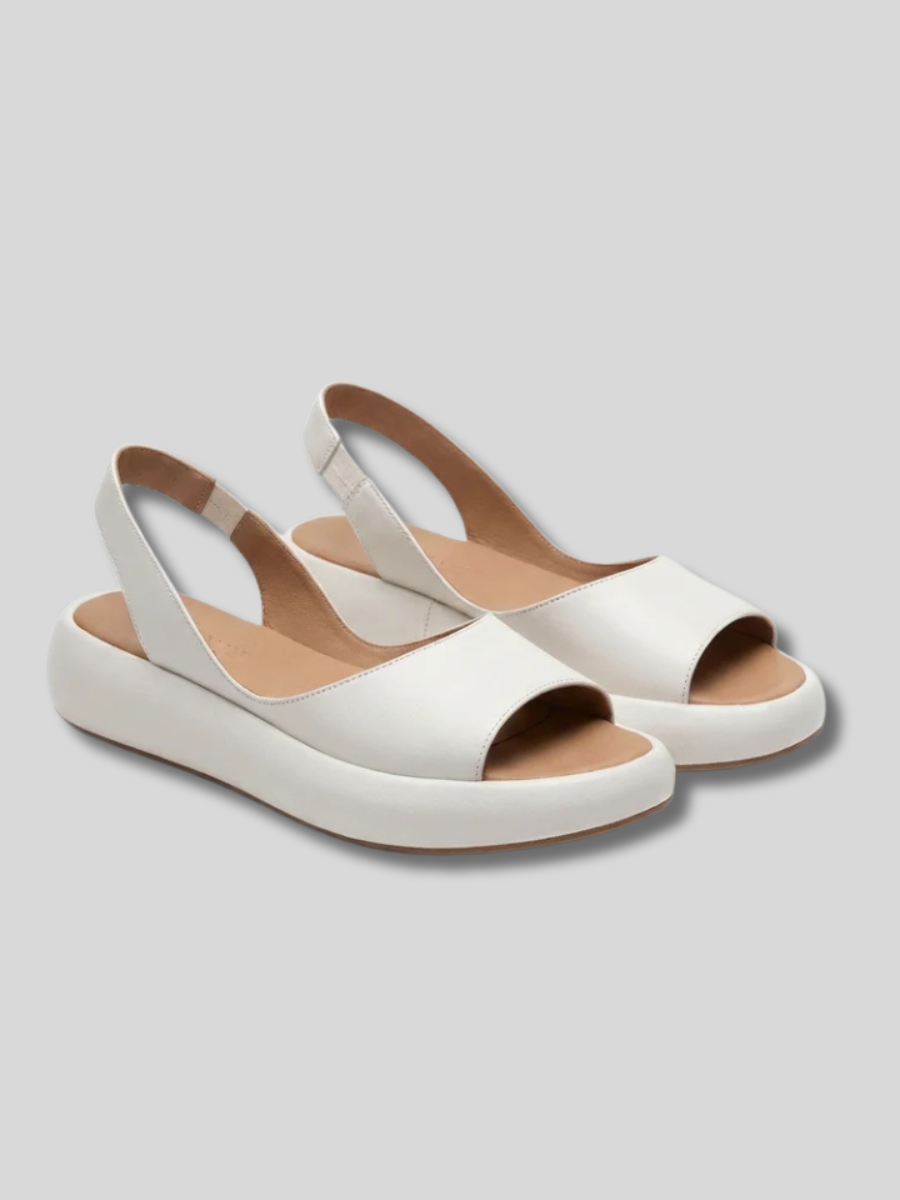 White / US 12