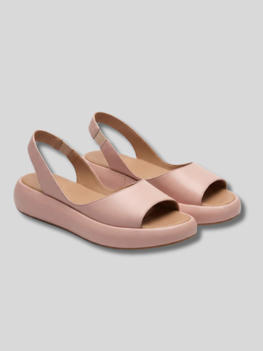 Pink / US 12