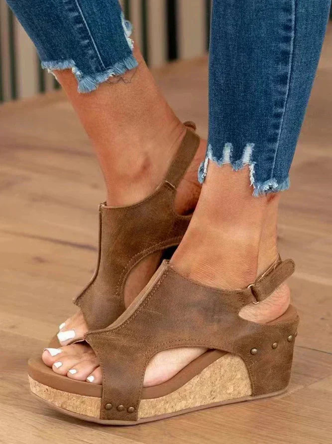 Brown / US 12