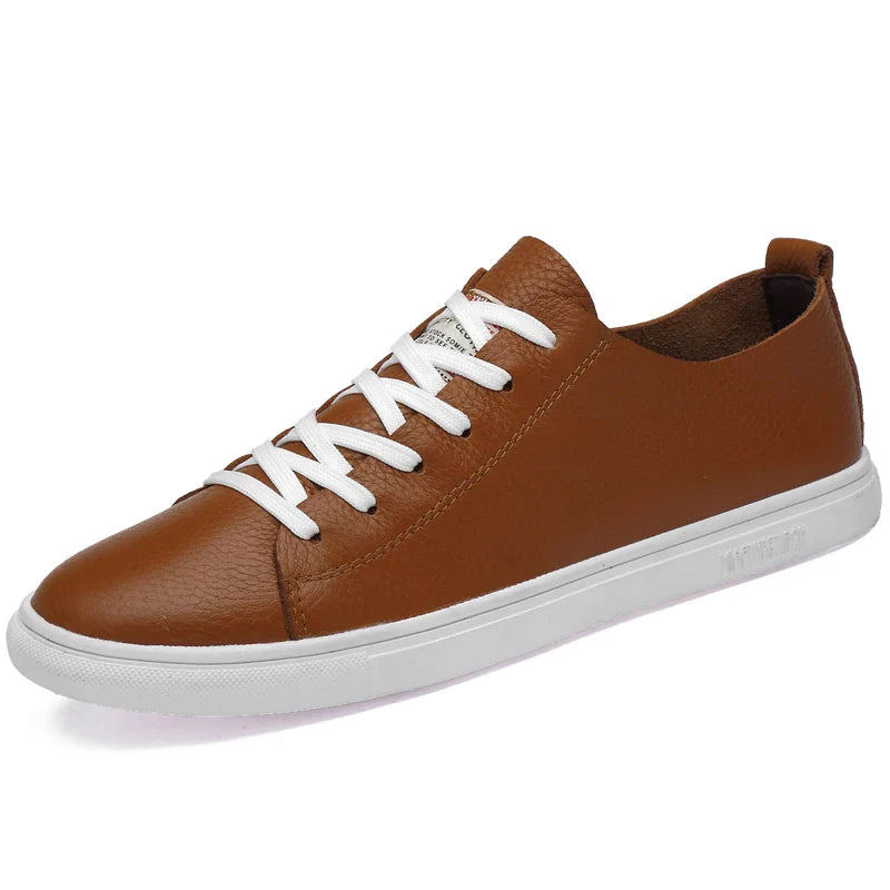 Brown / US 12