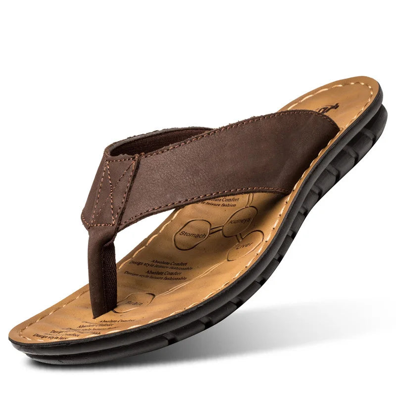 Brown / US 11