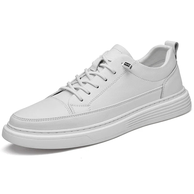 White / US 12