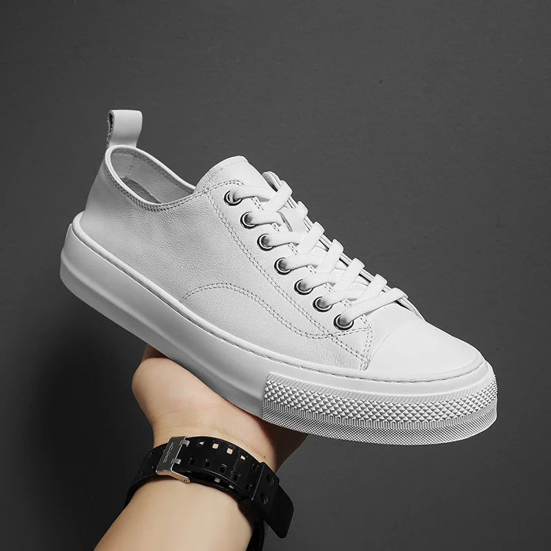 White / US 11