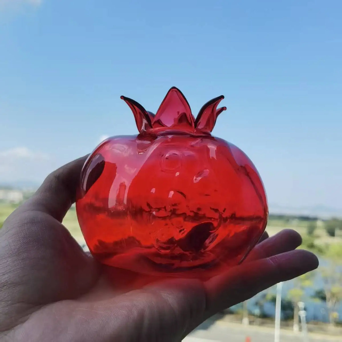 Melograno red vase in sunlight