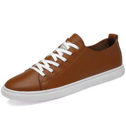 Brown / US 12