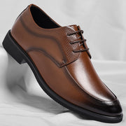 Brown / US 13