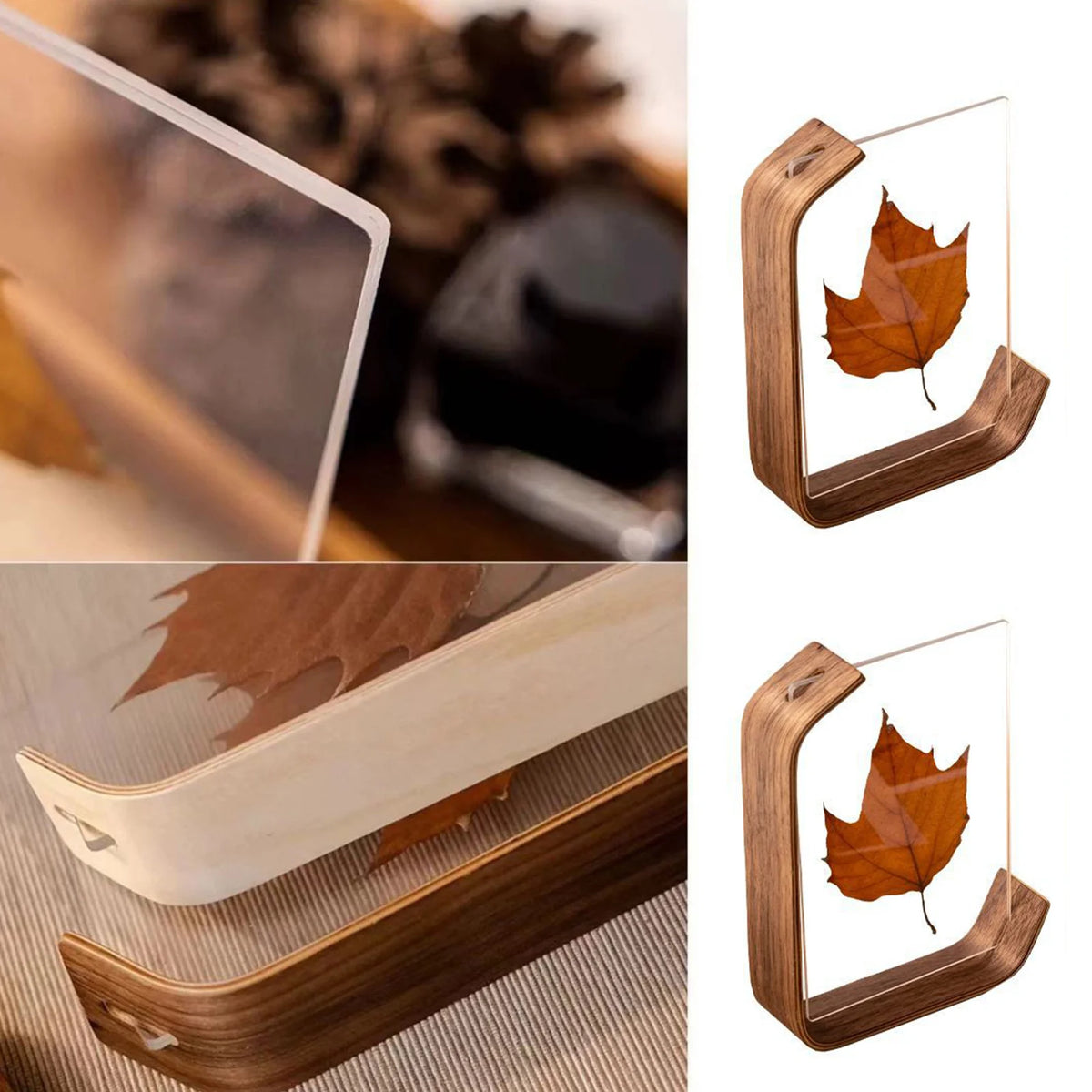 Teca walnut frame detail