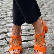 Orange / US 13