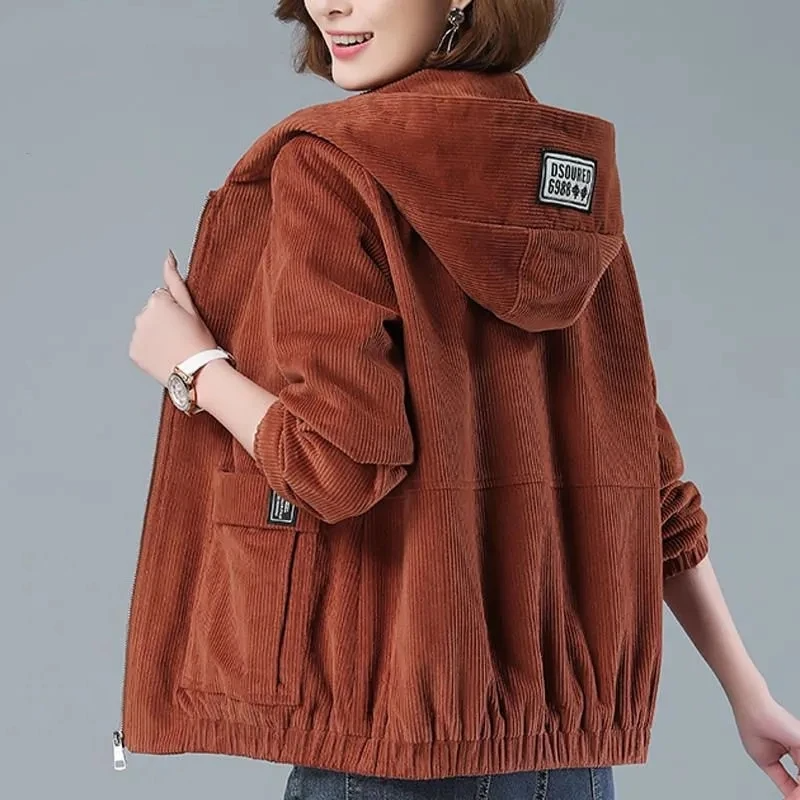 Brown / 2XL