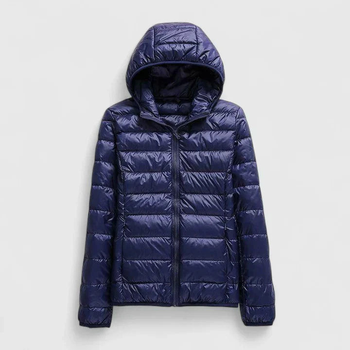Navy Blue / 3XL